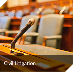 Civil Litigation